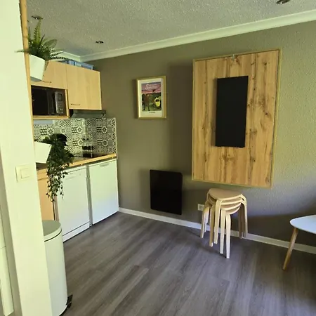 Appartement Le Ptit Besse-et-Saint-Anastaise