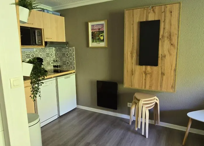 Appartement Le Ptit Besse-et-Saint-Anastaise